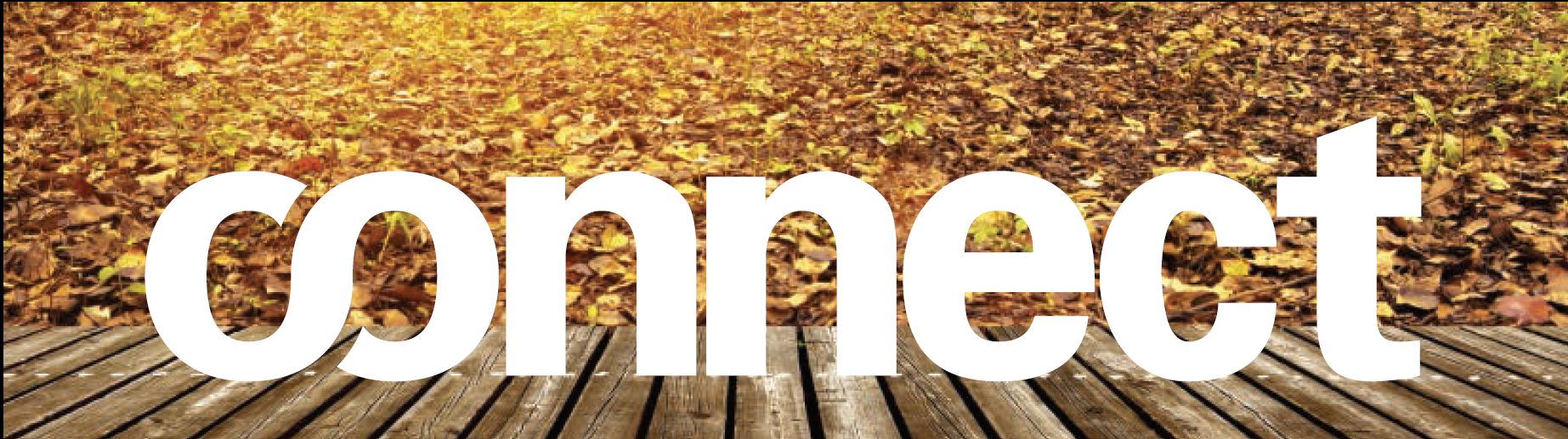 CONNECT Newsletter Autumn